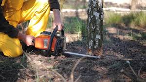 Best Commercial Tree Services  in Leavittsburg, OH